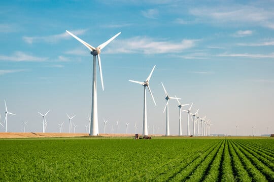 Wind