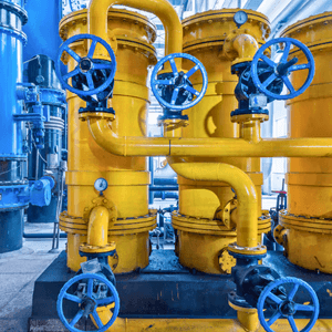 Safety Valve (Also known as a Relief Valve)